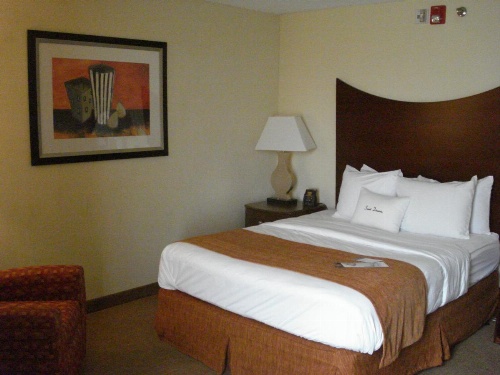 DoubleTree By Hilton Hotel Oak Ridge image 38